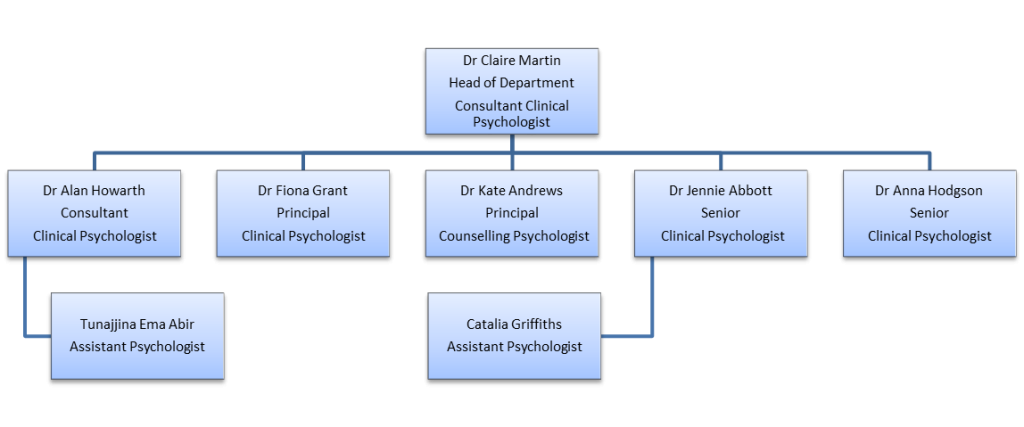 Flowchart of the clinical psychology service for older people staff